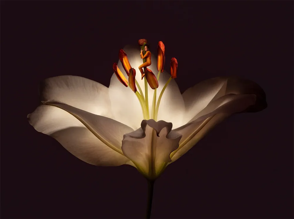 Sonja Hesslow - Finding stillness