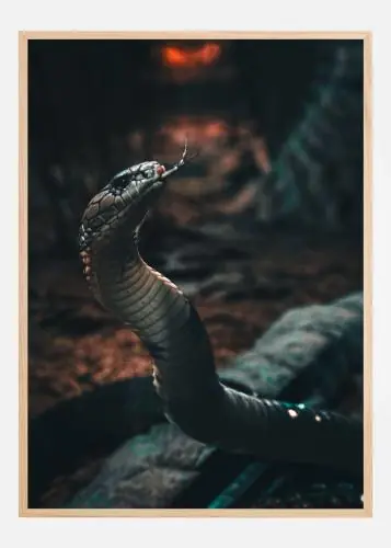 Dark Cobra Rising Poster (21x29.7 cm (A4))